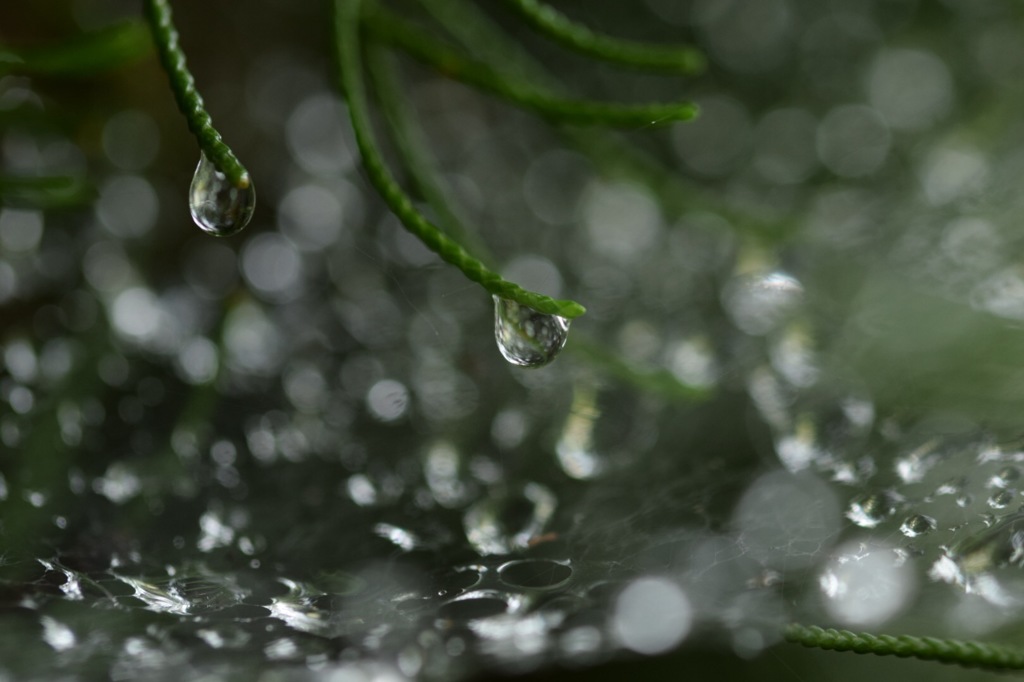 人生は選択の連続。