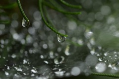 人生は選択の連続。