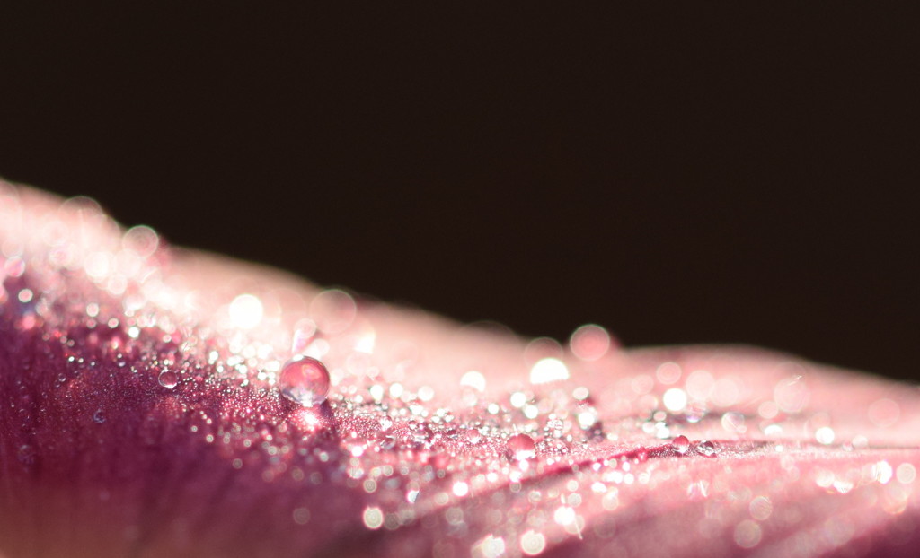 君の笑顔を守りたい♪