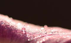 君の笑顔を守りたい♪