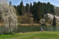 気持ちいいだろうなぁ…。