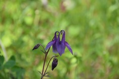 ひそひそミーティング中。