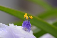 準備はいい?ショーの始まりよ!