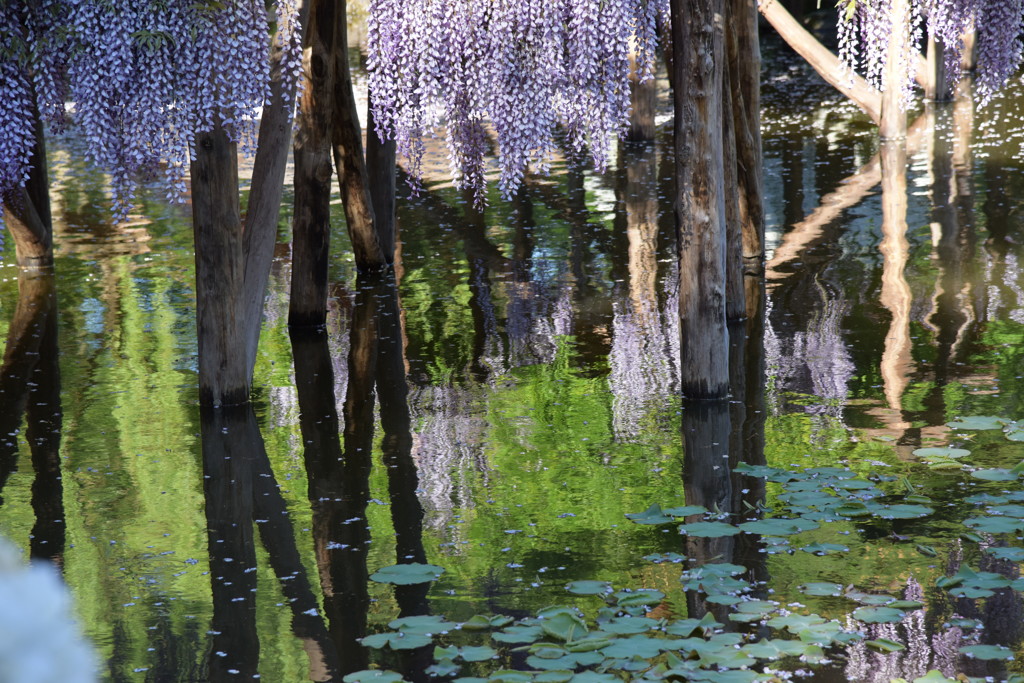 イメージは…。