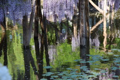 イメージは…。