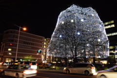 今年は誰と見ますか？