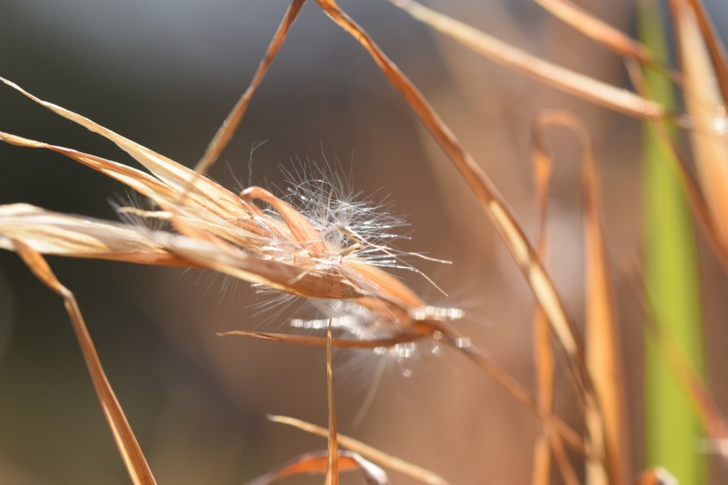 くしゃみしないで。