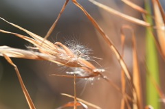 くしゃみしないで。