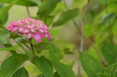 君はアドベンチャー!