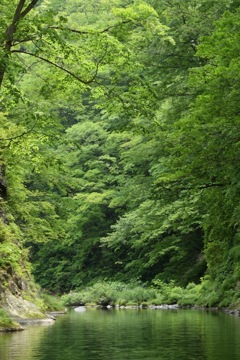 緑! 緑! エネルギー補給されます。