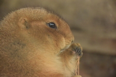 たまには糸ようじも必要よね♪