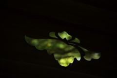 ワタシをみつけて…。