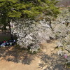 桜の下で、笑顔♪
