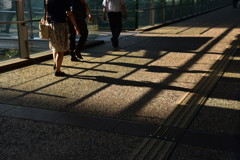 SHINAGAWA.