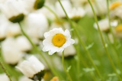 きゃあ! 飛ばされる~。