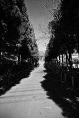 心まで果てしない…。