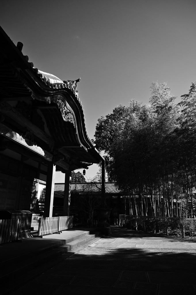 春という名の冬の日。