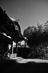 春という名の冬の日。