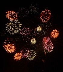 夜空にちりばめられた火の花