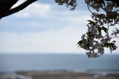 海にさよなら。