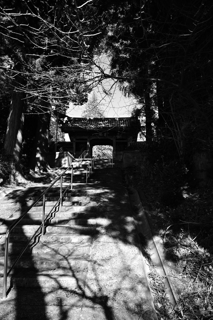 混濁する思い。