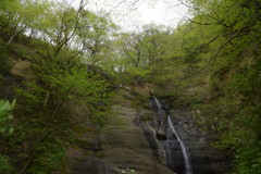 春を求めて、県北へ♪