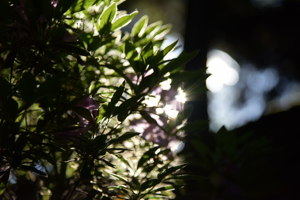 好き、ということを追求したり…。