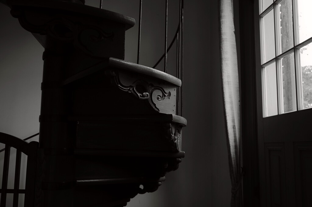 霞城公園　１０