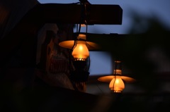 夢の国はしっとり暮れて。