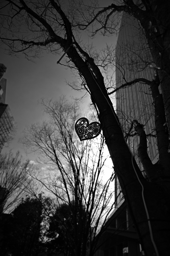 私が私をみつけられるように…。