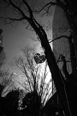 私が私をみつけられるように…。