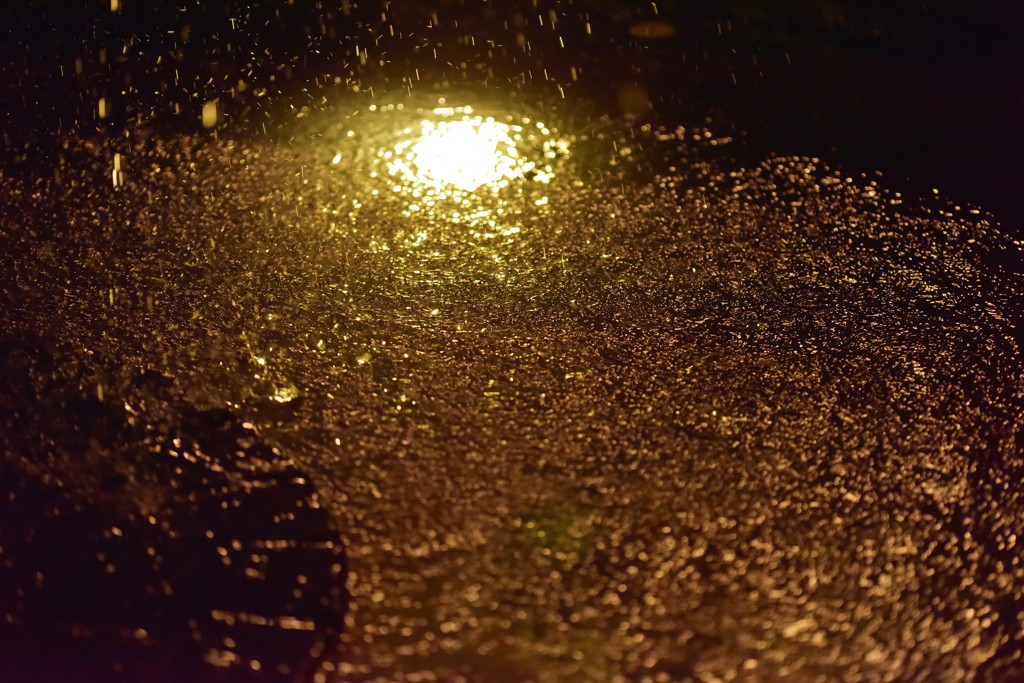 秋の夜長に♪　Ⅳ