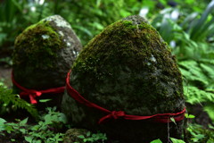 なあに？山寺。