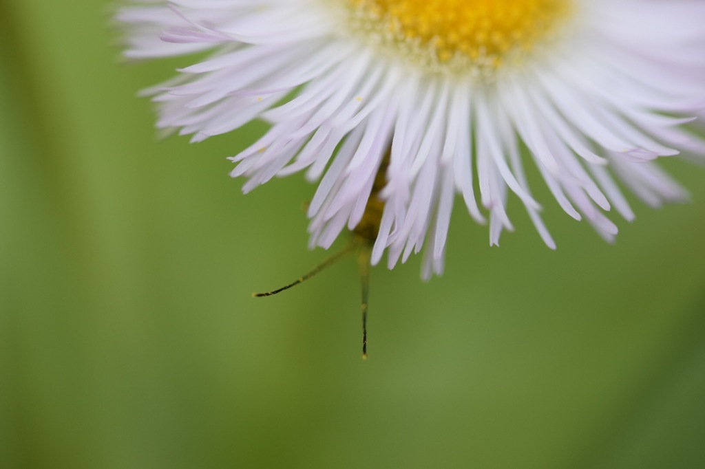 陰でコソコソ…。
