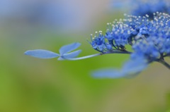 君の向こうに何が見えるの？