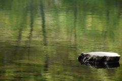待ち人来らず。