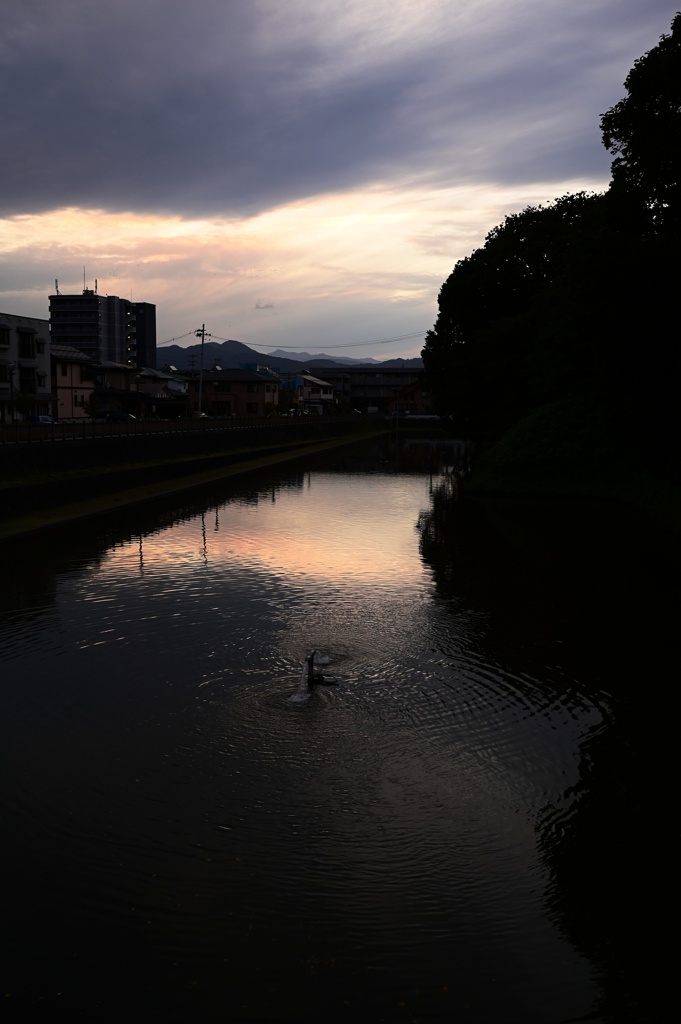 山形 雲
