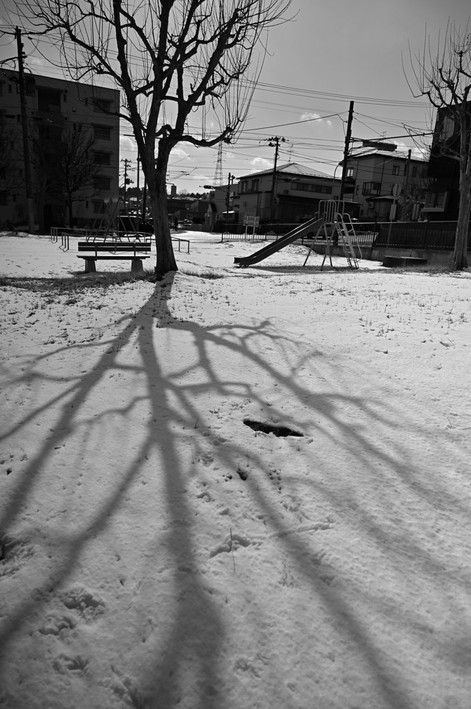 太陽の気まぐれ。