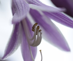 一番言いたいことはずっととっておく。