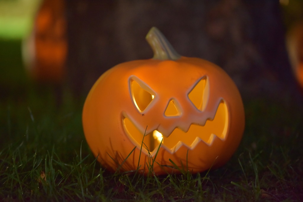 ハロウィ～ン♪