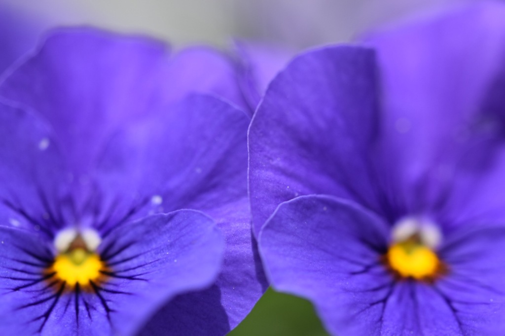 少しだけ触れ合って。