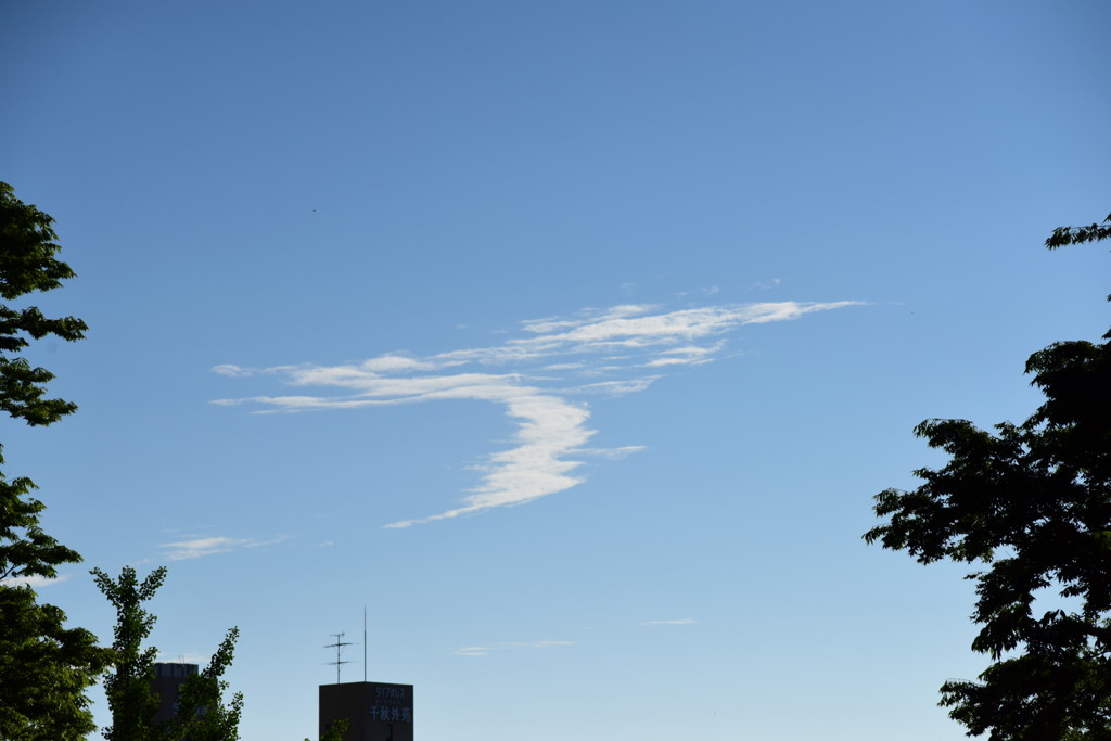 キモチ上向き♪