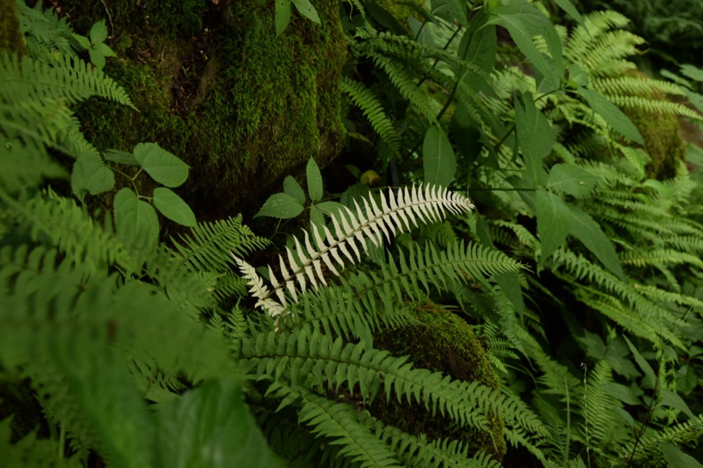 ん?私目立ってる?