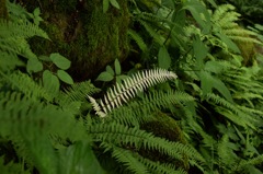 ん?私目立ってる?