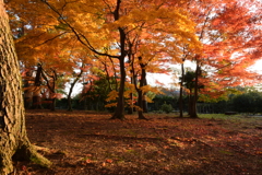 おうちに帰んなきゃ！