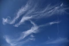 青空が恋しい！