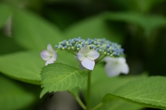 この瞬間を美しく。