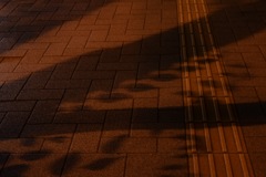 たまには無になり。ふとした日常を…。