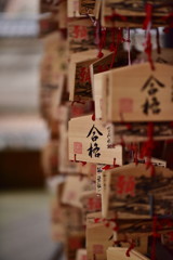 願　Ⅱ