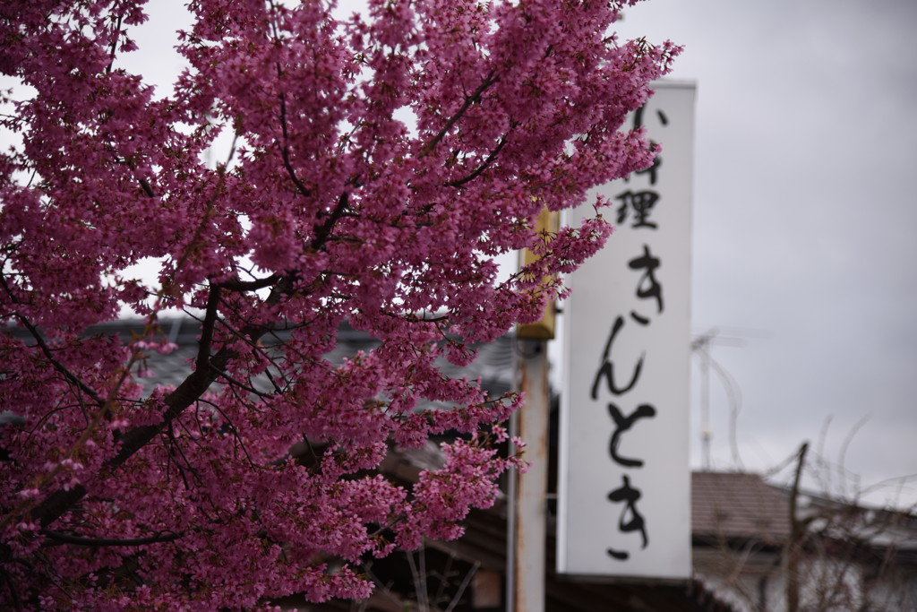 ふらっと寄りたくなりますなぁ…♪